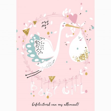 Geboorte Baby Girl - ooievaar