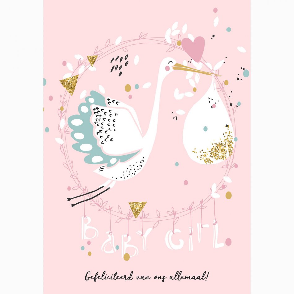 Geboorte Baby Girl - ooievaar