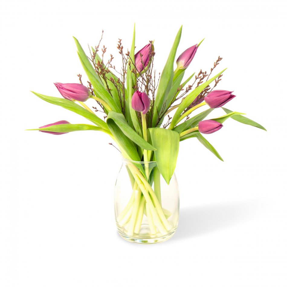 Tulpen Paars brievenbus